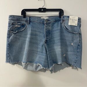 Abercrombie & Fitch The 90s Baggy Low Rise Raw Hem Jean Shorts Women 22 / 36 New